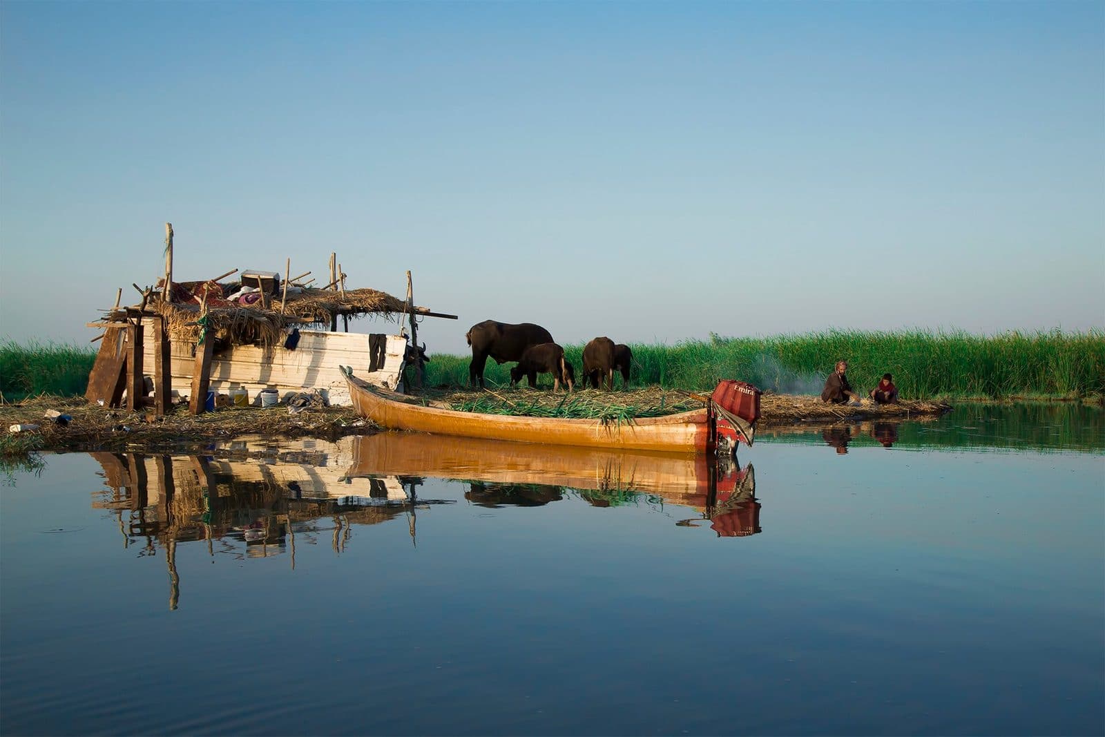 The marshes of Iraq - the waters that cradle civilization